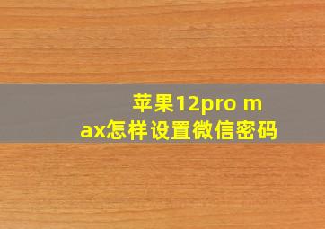 苹果12pro max怎样设置微信密码